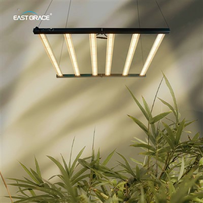 Đèn LED 720W mạnh nhất cho nhà kính