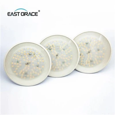Dải đèn LED trồng cây